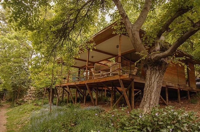 Nogalia Lodge